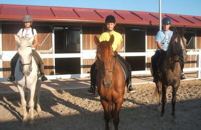 paseos a caballo